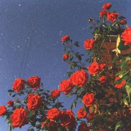 Sara Attallah-Gherardi's picture